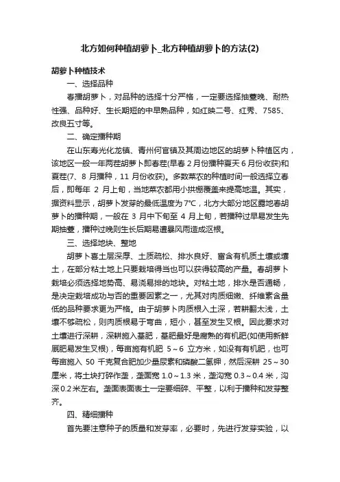 北方如何种植胡萝卜_北方种植胡萝卜的方法（2）