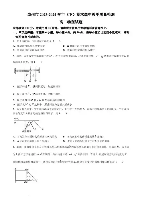 福建漳州市2024年高二下学期7月期末考试物理试题+答案