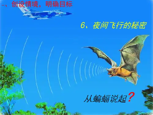 人教版小学四年级语文上册《11.蝙蝠和雷达》课件PPT
