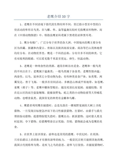 老鹰介绍50字