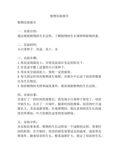 植物实验报告