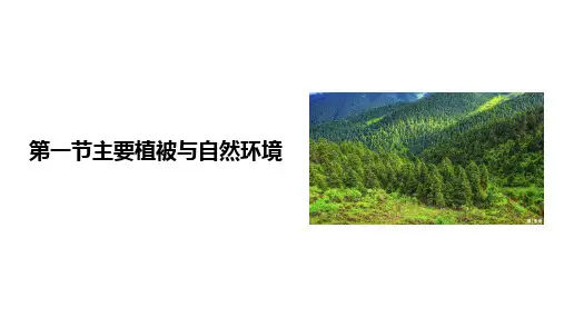 5.1 主要植被与自然环境 课件 高一上学期 地理 湘教版(2019)必修一