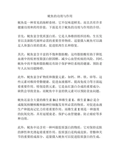 鱿鱼的功效与作用