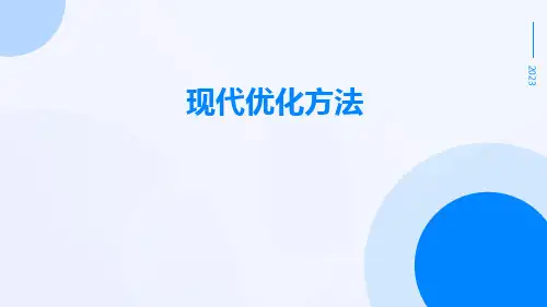 现代优化方法