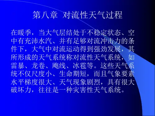 天气学原理和方法第八章对流性天气过程