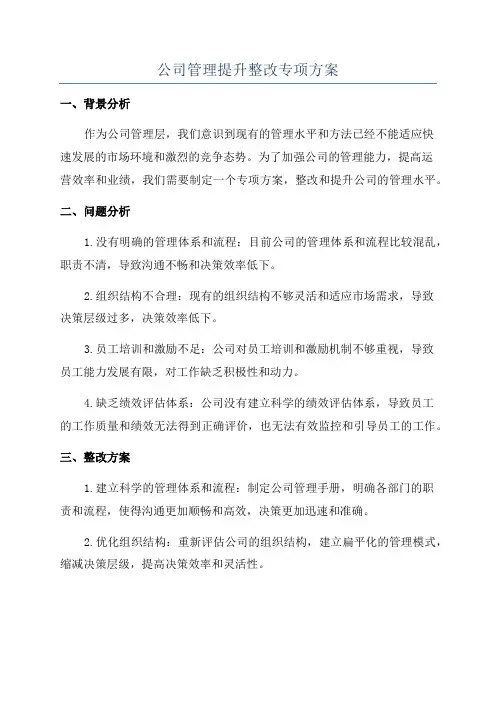 公司管理提升整改专项方案
