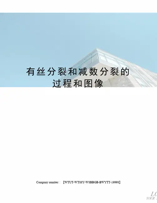 有丝分裂和减数分裂的过程和图像