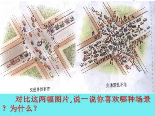 新人教部编版八年级道德与法治上册3.1 维护秩序 课件 (共23张PPT)