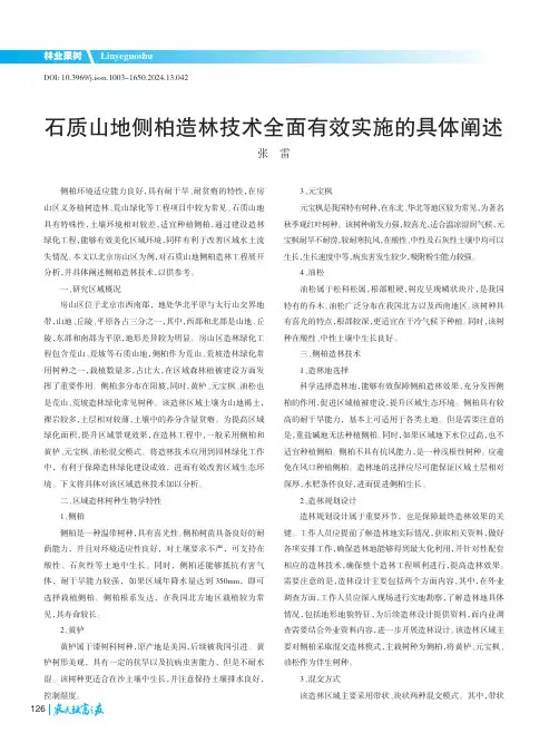 石质山地侧柏造林技术全面有效实施的具体阐述