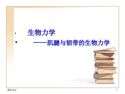 生物力学—肌腱与韧带的生物力学特性