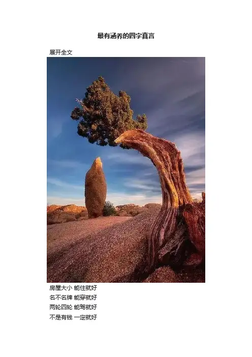 最有涵养的四字真言