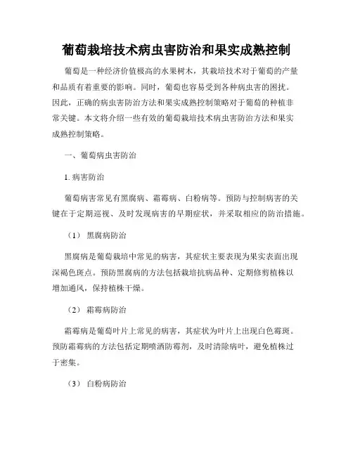 葡萄栽培技术病虫害防治和果实成熟控制