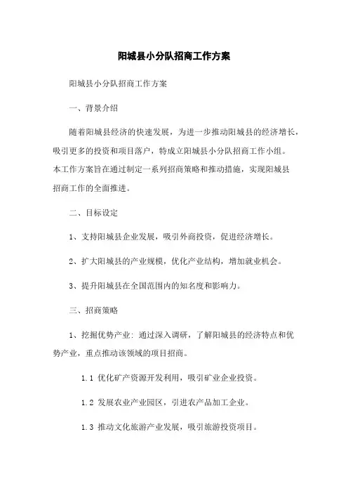 阳城县小分队招商工作方案
