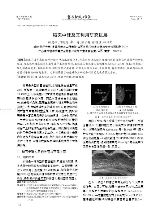 稻壳中硅及其利用研究进展