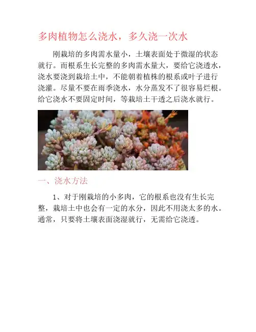 多肉植物怎么浇水,多久浇一次水-养花技巧