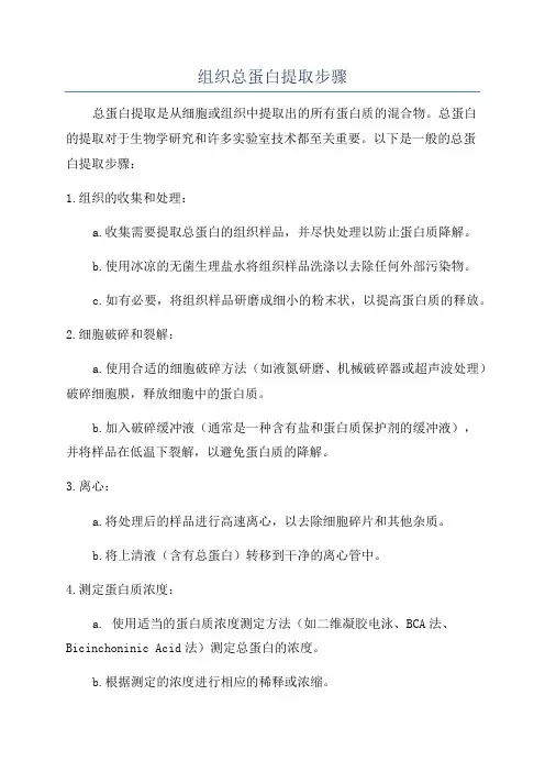 组织总蛋白提取步骤
