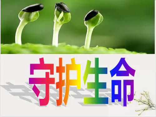 人教版道德与法治七年级上守护生命课件(共20张PPT)优秀课件