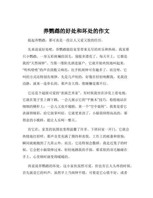 养鹦鹉的好处和坏处的作文