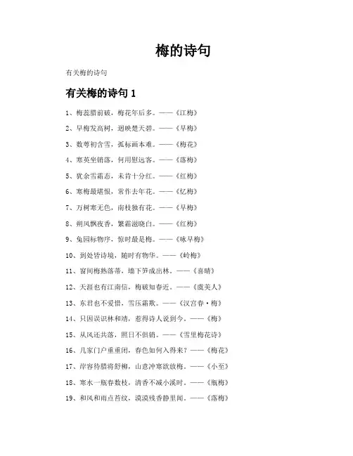 梅的诗句-专业文档