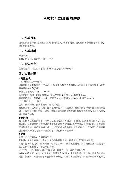 鱼的解剖