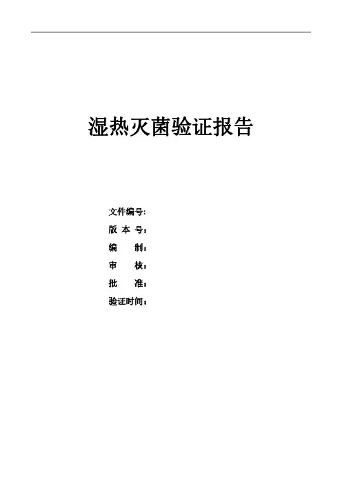湿热灭菌验证报告