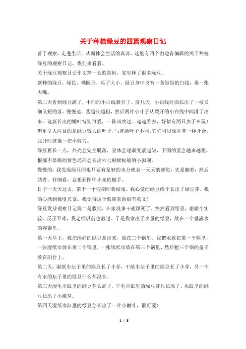 关于种植绿豆的四篇观察日记
