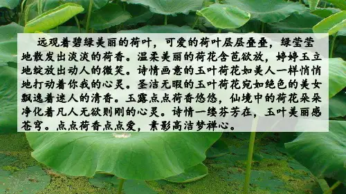 最新人教部编版语文三年级下册(精品)课件《荷花》
