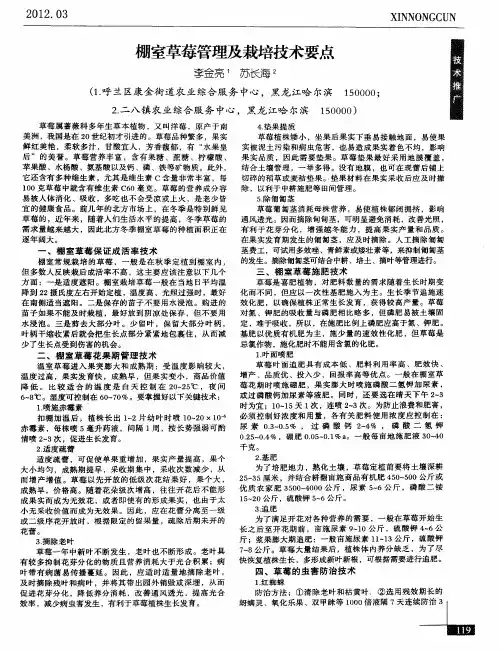 棚室草莓管理及栽培技术要点