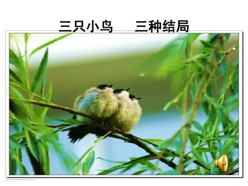 正确对待理想与现实PPT