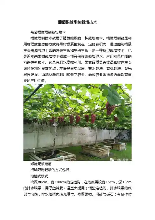 葡萄根域限制栽培技术