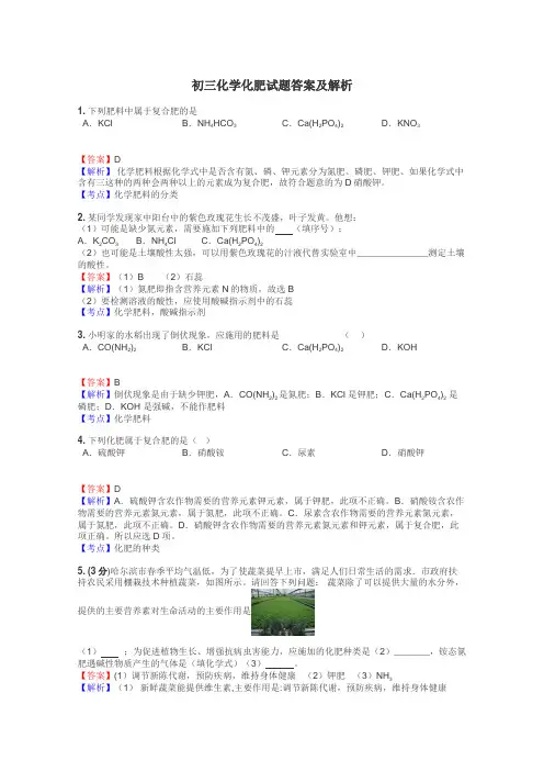 初三化学化肥试题答案及解析
