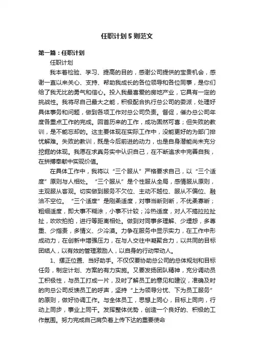 任职计划5则范文