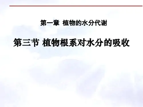 植物根系对水分的吸收