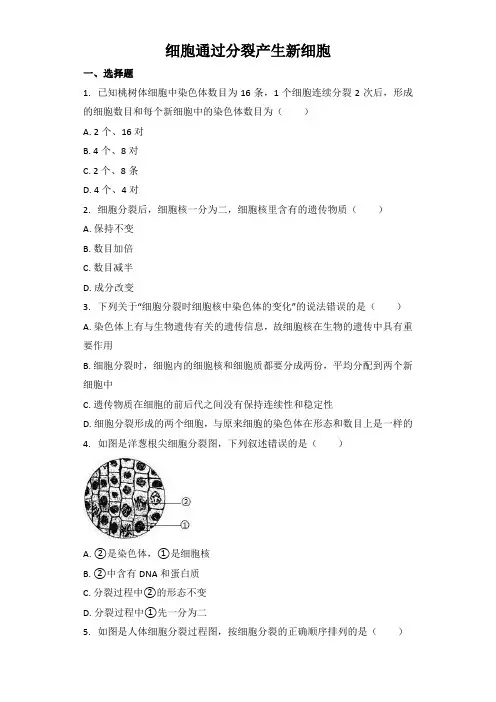 中考生物基础强化训练：细胞通过分裂产生新细胞（word版含解析）