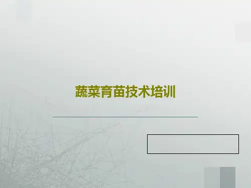 蔬菜育苗技术培训PPT29页