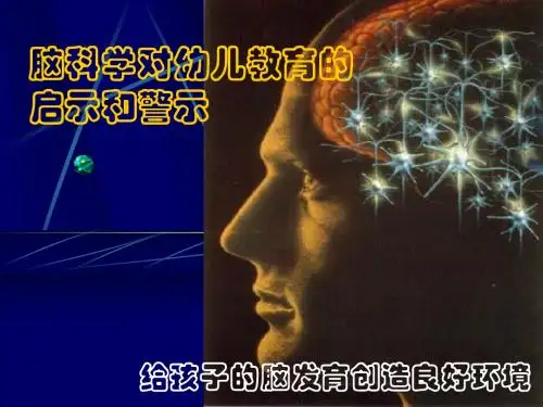 脑科学对早期教育的启示和警示