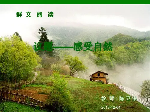 群文阅读PPT课件