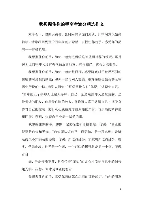 我想握住你的手高考满分精选作文