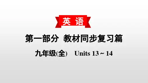 人教版中考初三九年级复习ppt课件(13-14单元)(2)