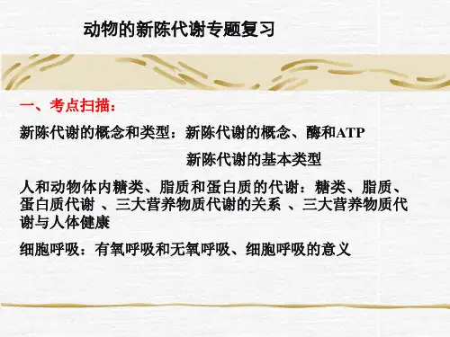 动物的新陈代谢专题复习