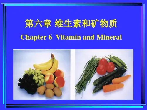 食品化学6维生素和矿物质