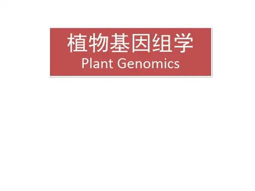 植物基因组学