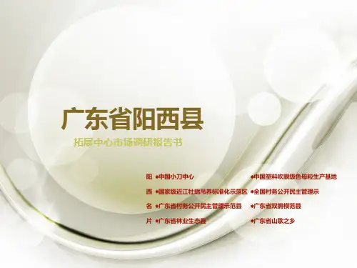 广东省阳西县调研报告
