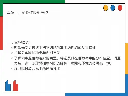植物细胞和组织实验