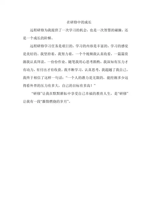 在研修中的成长