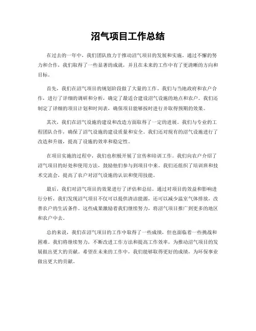 沼气项目工作总结