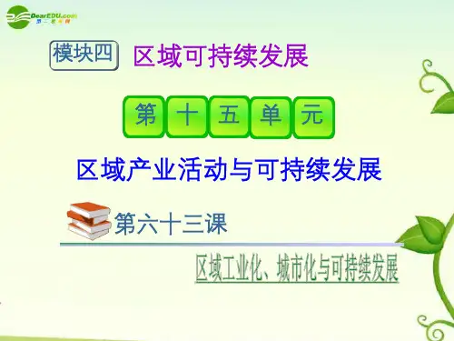 高中地理总复习 第63课区域工业化、城市化与可持续发展课件 新人教版