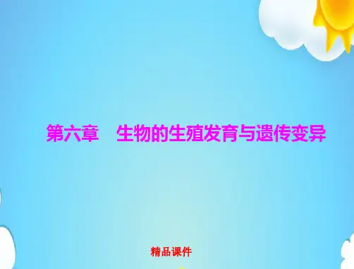 中考生物考点梳理第一轮第六章第一讲生物的生殖和发育课件