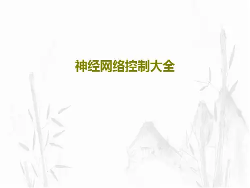 神经网络控制大全69页PPT