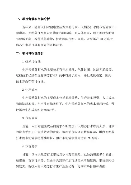 年产20万吨天然苏打水项目可行性研究报告